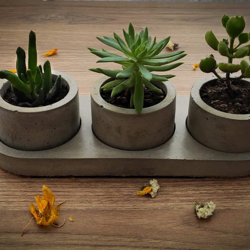 indoor flower pots